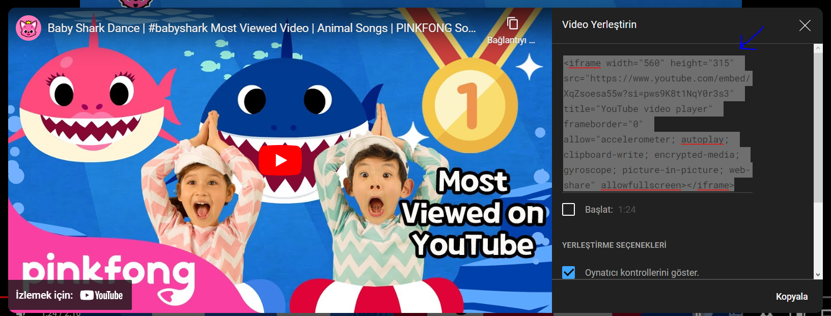 User copies the code